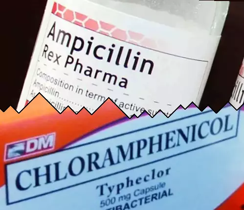 Ampicillin vs Chloramphenicol