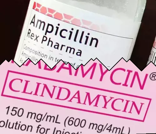 Ampicillin vs Clindamycin