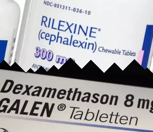 Cephalexin vs Dexamethasone